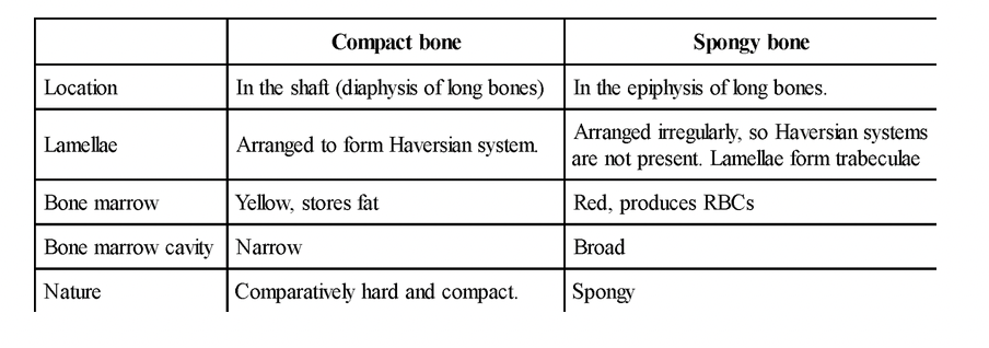 Skeletal Tissues